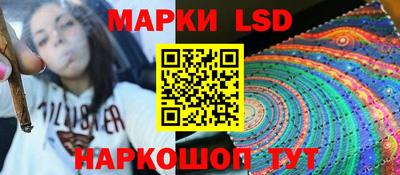 ECSTASY Гай