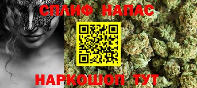 ECSTASY Гай