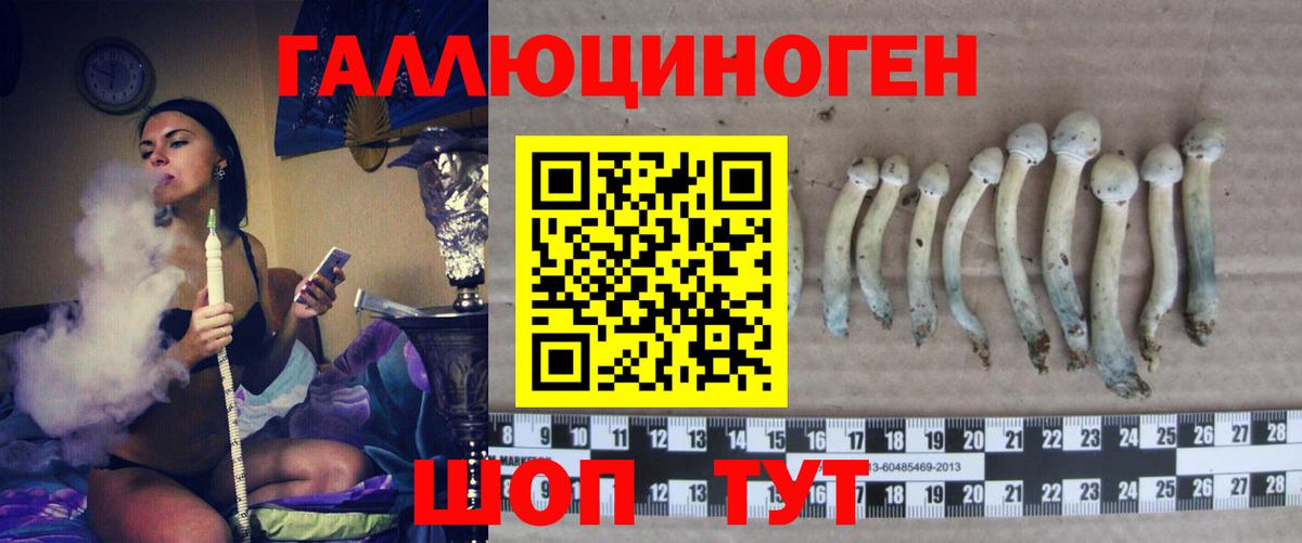 Добрянка  цены   Вход с VPN  Псилоцибиновые грибы Psilocybe 